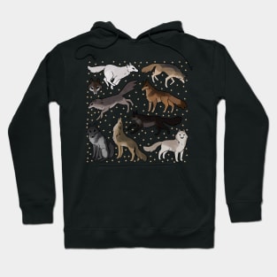 Cute wolves illustration Hoodie